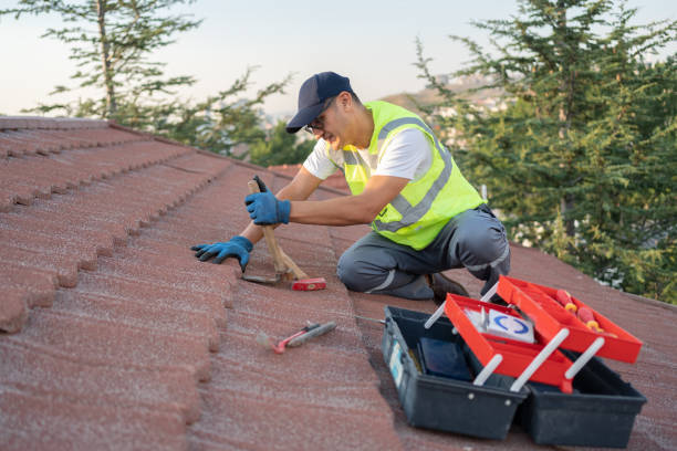 Sealant for Roof in Cortland, IL